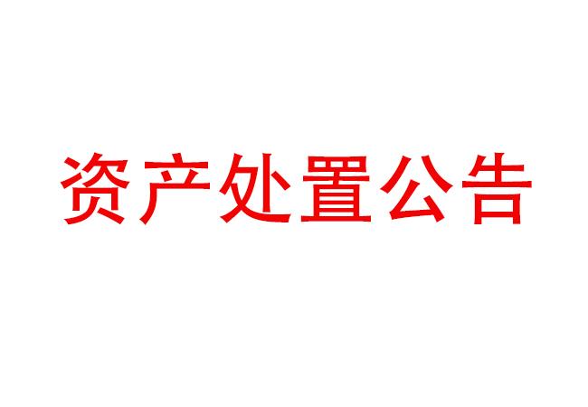 閑置設備資產處置公告（2023-1)